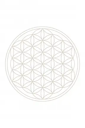 Beauty Su Canlandırıcı Karaf 5 Lt. Şeffaf